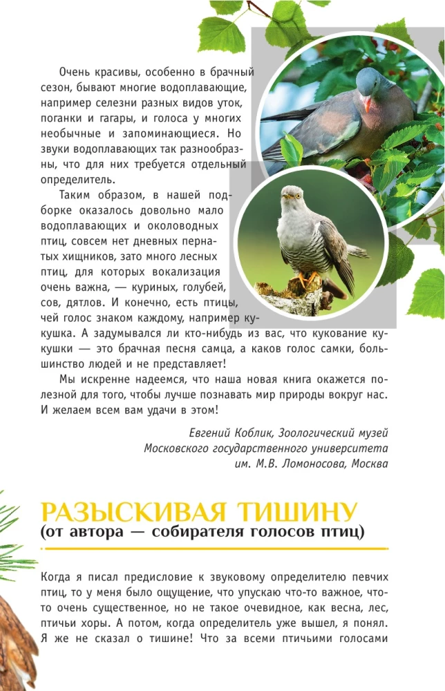 Nedziedātāju putni. Vidējā josla Eiropas daļā Krievijā. Putnu balsu noteicējs