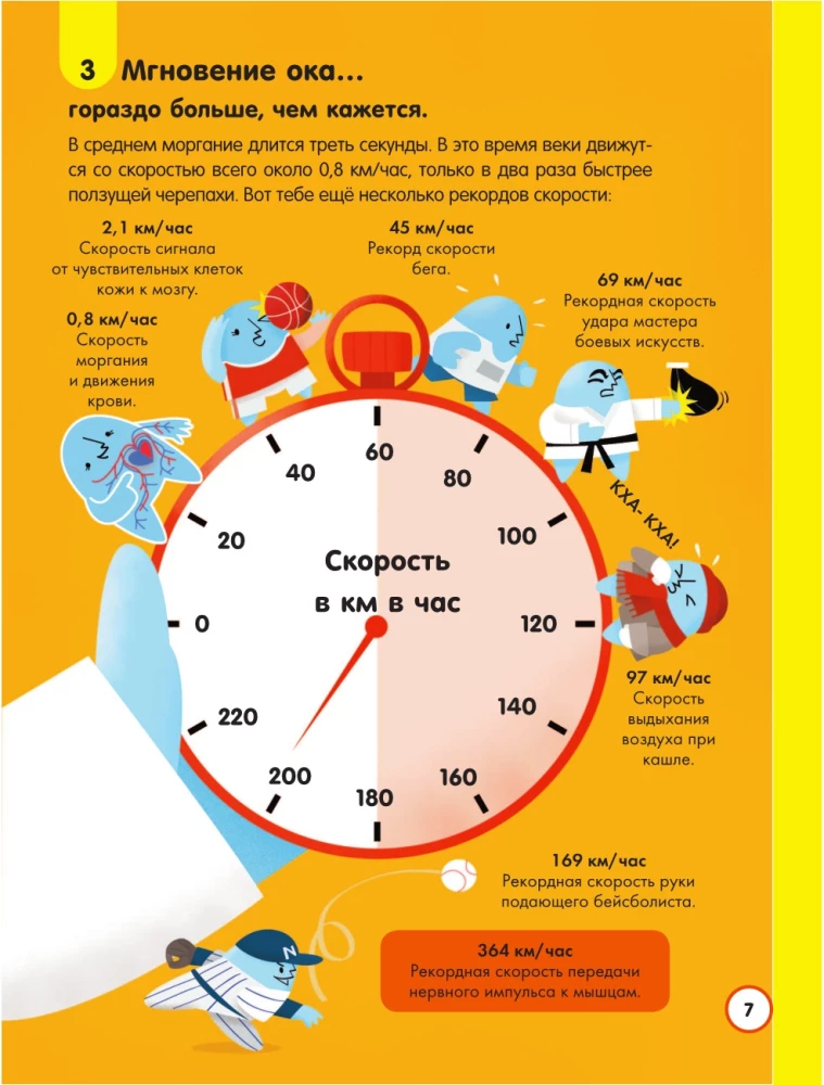100 любопытных почему о теле человека