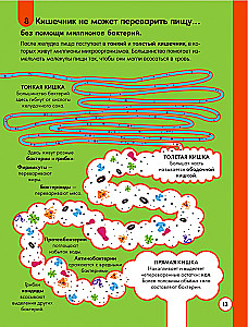 100 любопытных почему о теле человека