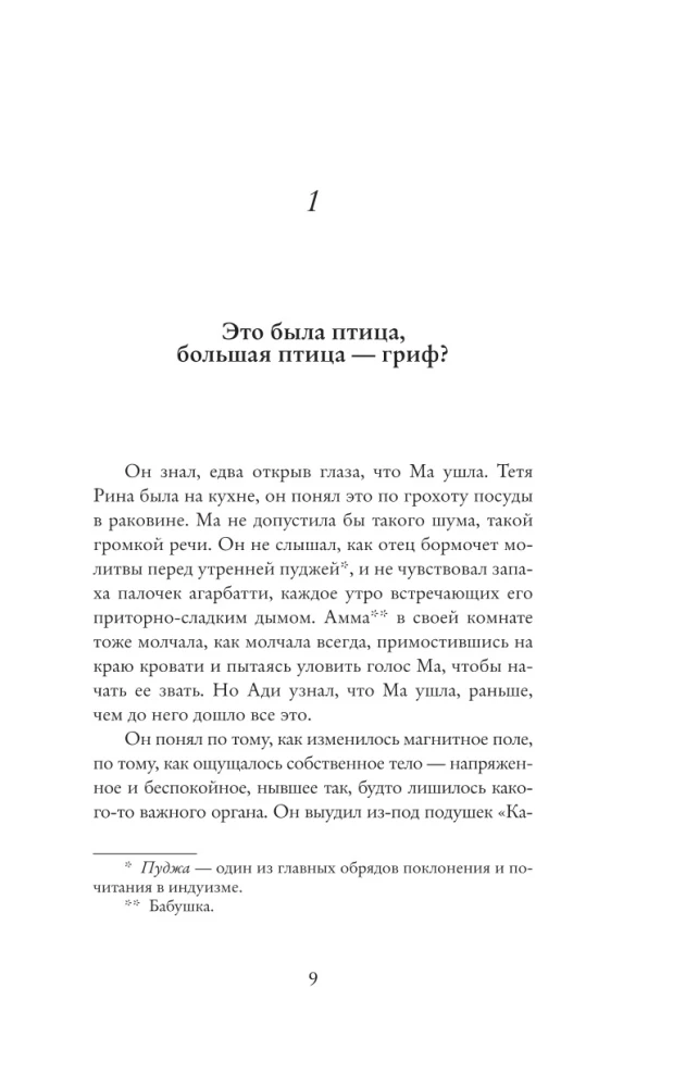 Помните, мистер Шарма