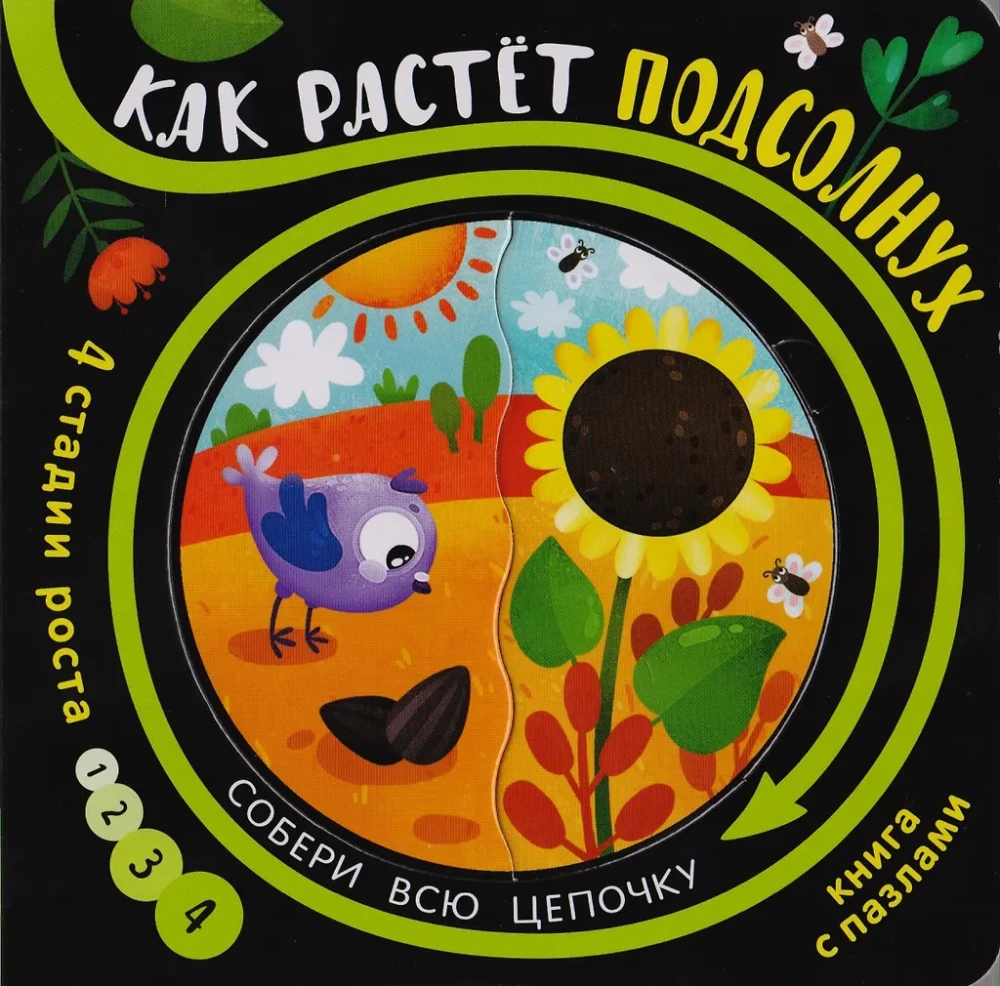 Собери цепочку. Как растет подсолнух