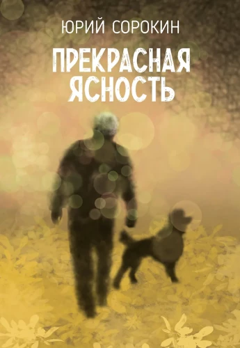 Skaista skaidrība