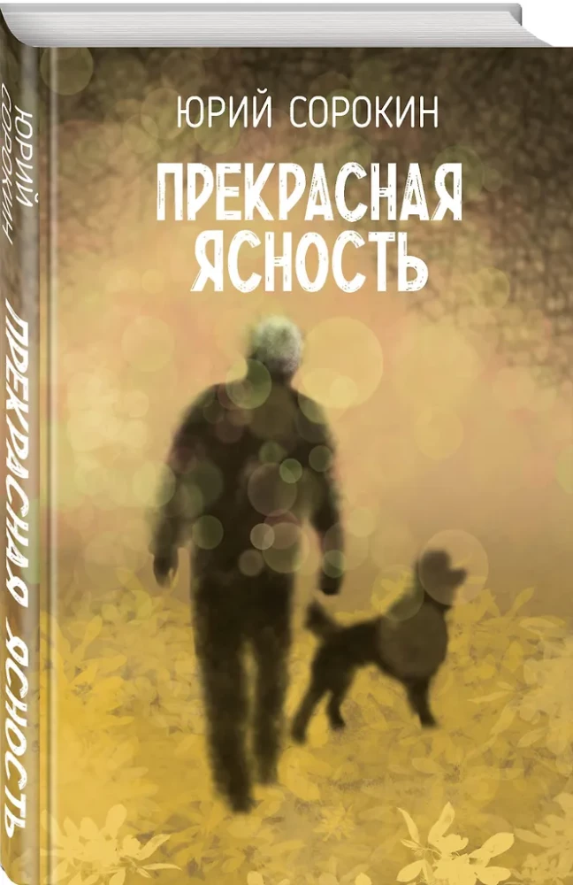 Skaista skaidrība