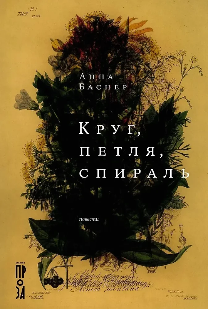 Круг, петля, спираль