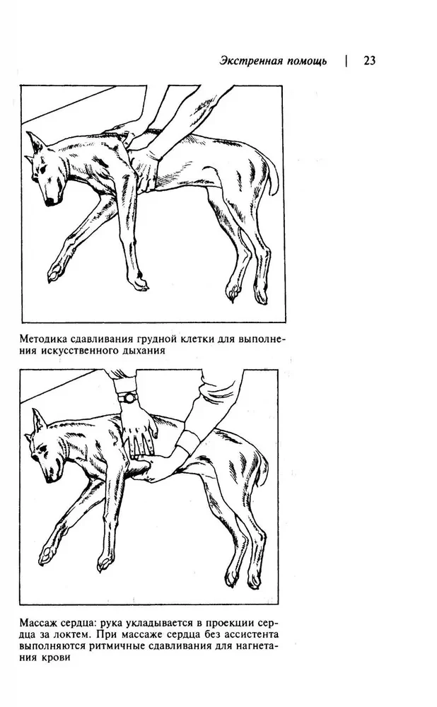 Mājas veterinārā rokasgrāmata suņu īpašniekiem