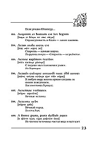 Вечные истины на вечной латыни. De verbo in verbum. Латинские изречения