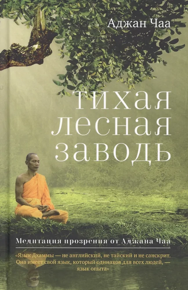 Klusa meža līcis. Meditācija no Ajan Ča