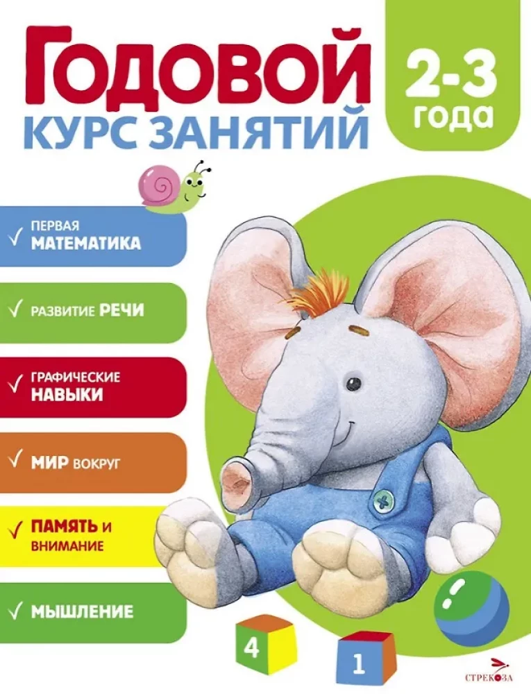 Gada nodarbību kurss. 2-3 gadi