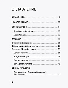 Тибетская медицина. Основы исцеления