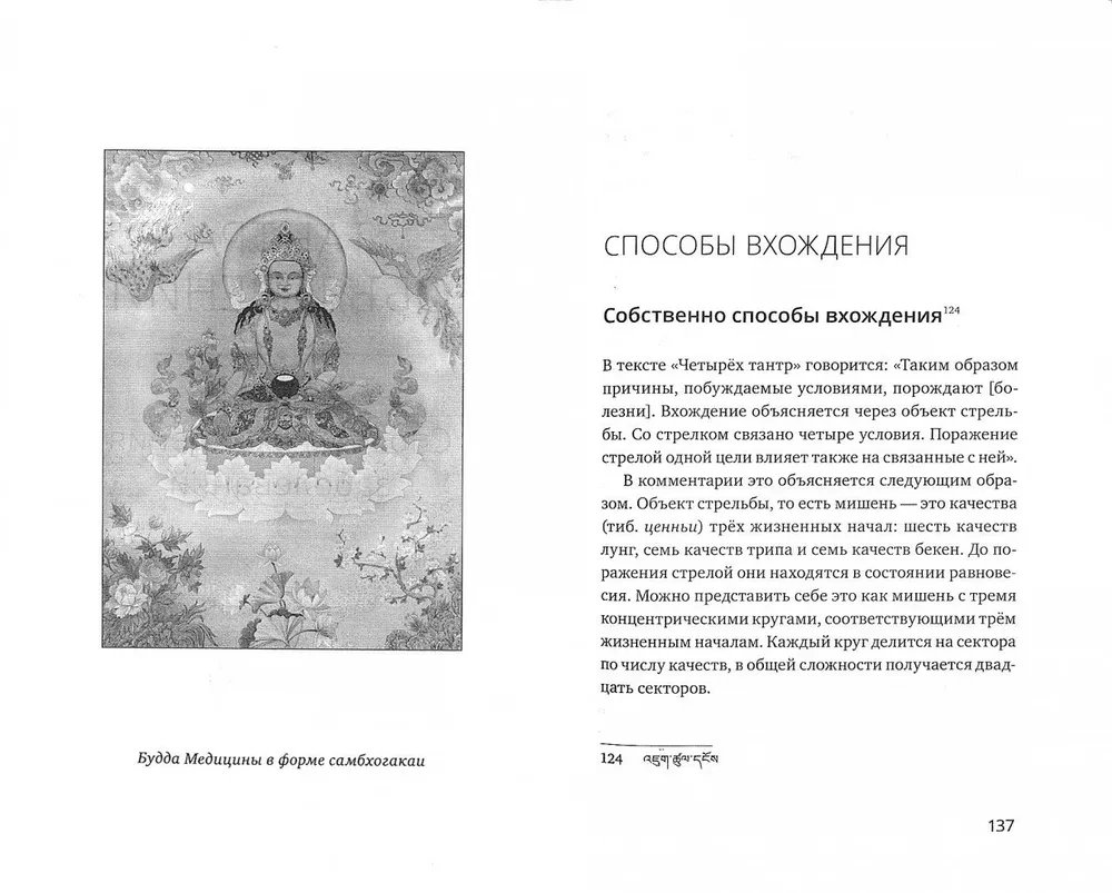 Тибетская медицина. Основы исцеления