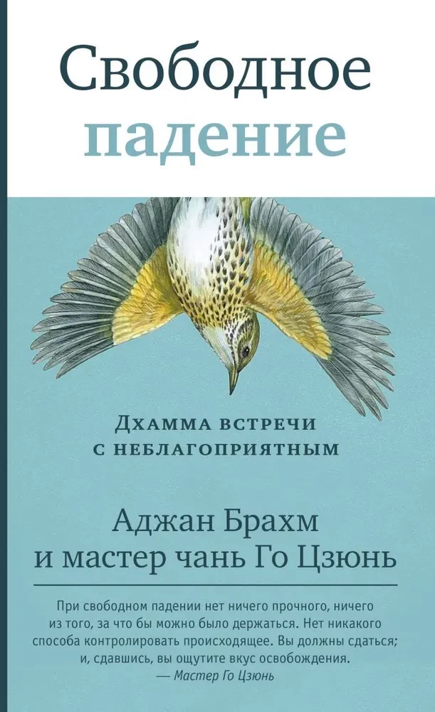 Свободное падение. Дхамма встречи с неблагоприятным