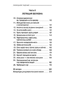 Свободное падение. Дхамма встречи с неблагоприятным