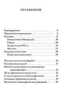 Ничто есть Всё. Последние беседы