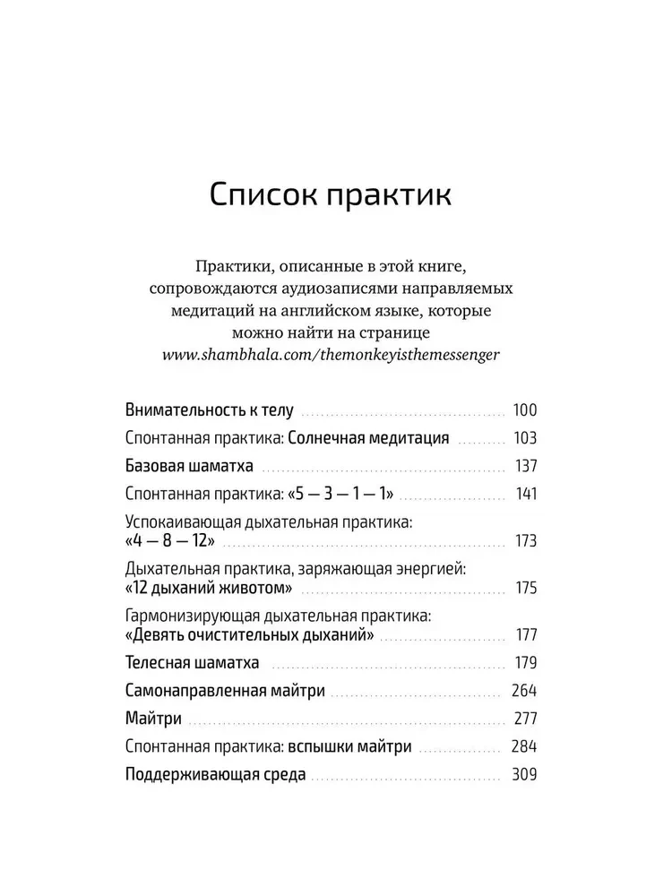 Вести от обезьяны. О медитации и о том, что хочет донести до вас суетливый обезьяний ум
