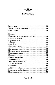 Dīvāns. Sufiju meistara dzeja