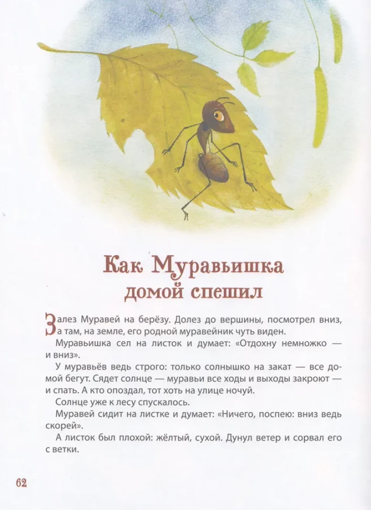 Лесные истории. Сказки о животных