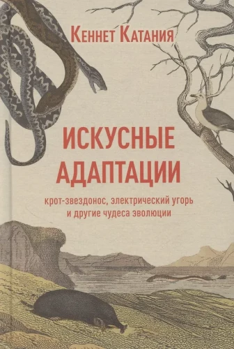 Mākslinieciskas adaptācijas