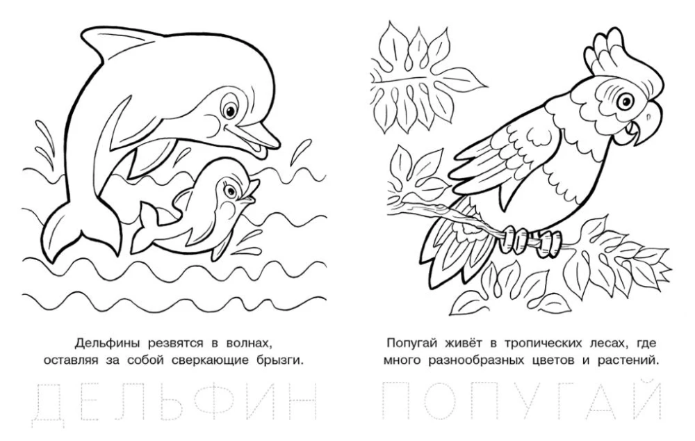 Jautrs vāverēns