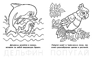 Jautrs vāverēns