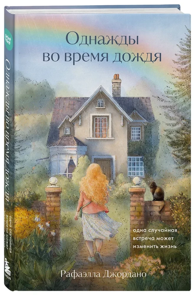 Однажды во время дождя. Одна случайная встреча может изменить жизнь