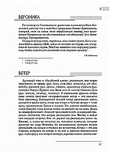 Austrumu slāvu etioloģiskās pasakas un leģendas. Enciklopēdiskais vārdnīca