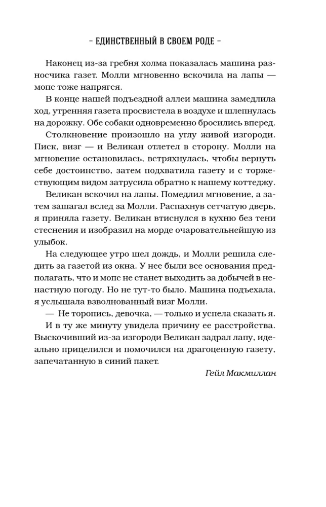 Куриный бульон для души. Не могу поверить, что это сделала моя собака! 101 история об удивительных выходках любимых питомцев