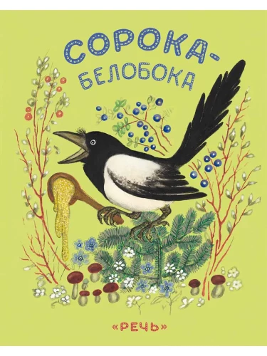 Сорока - белобока