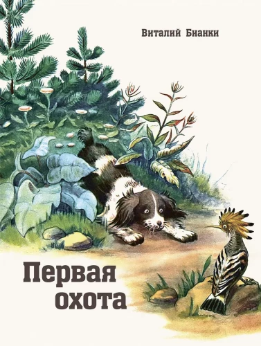 Pirmais medības