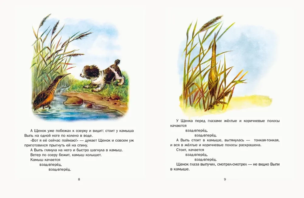 Pirmais medības