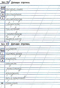 Тренажёр по чистописанию. Учимся писать грамотно. 2 класс