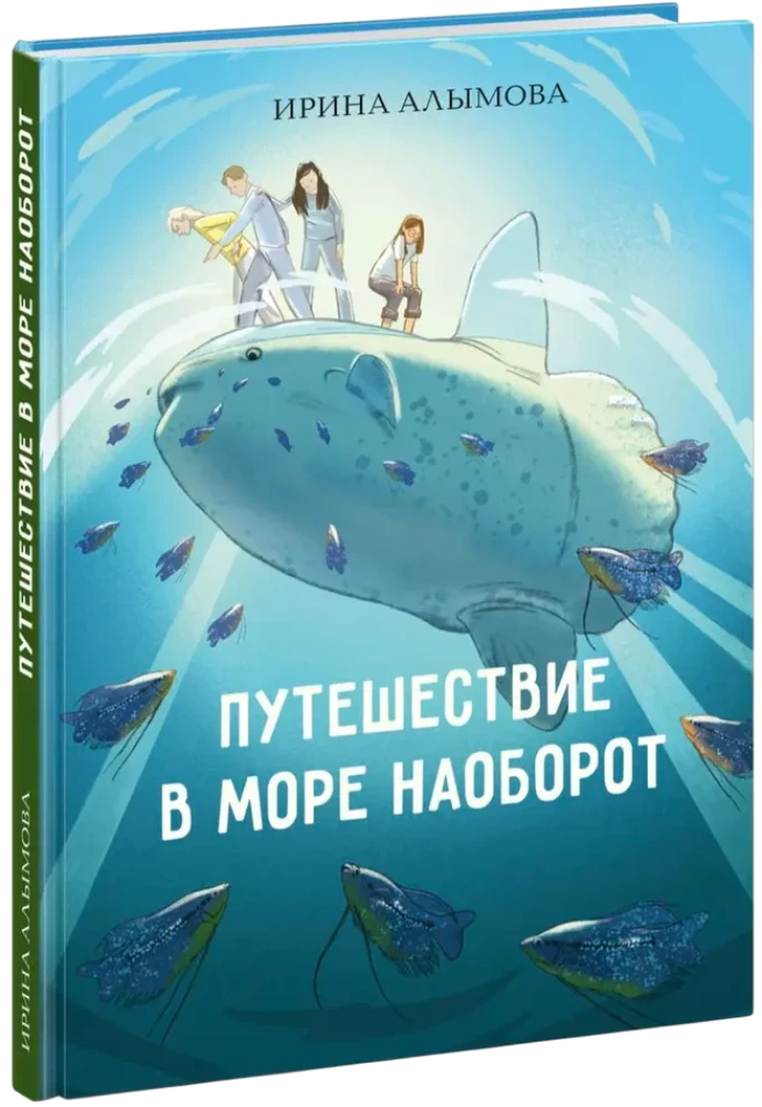 Путешествие в Море Наоборот