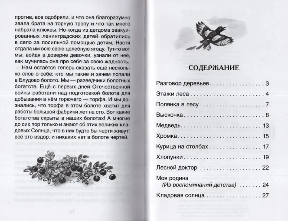 Кладовая солнца