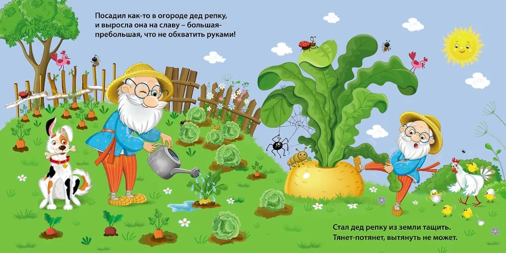 Репка