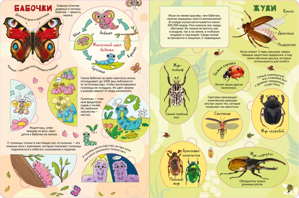 Encyclopēdija ar logiem. Mana pirmā grāmata par kukaiņiem