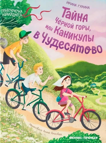 Тайна Черной горы, или Каникулы в Чудесатово