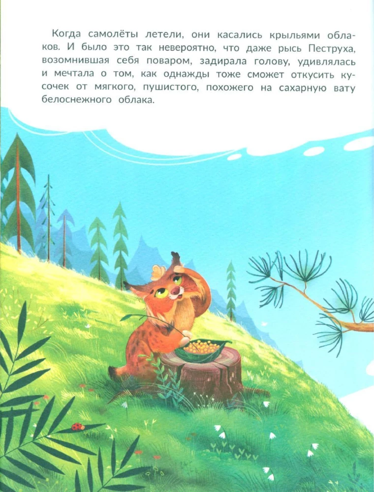 Lielā sapņa pūcīte Šipa