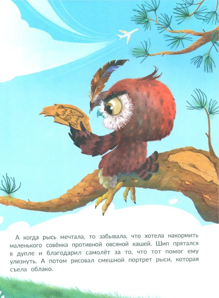 Lielā sapņa pūcīte Šipa