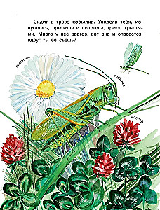 Кто как видит?