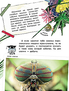 Кто как видит?