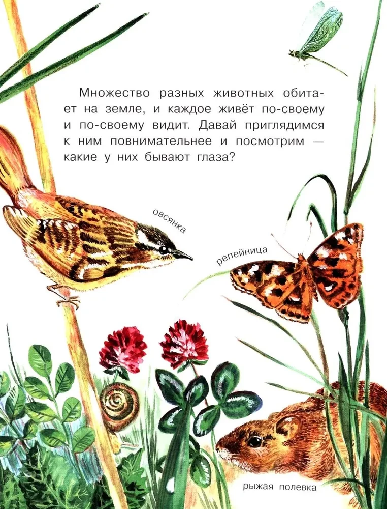 Кто как видит?