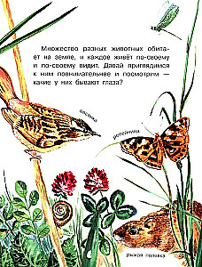 Кто как видит?