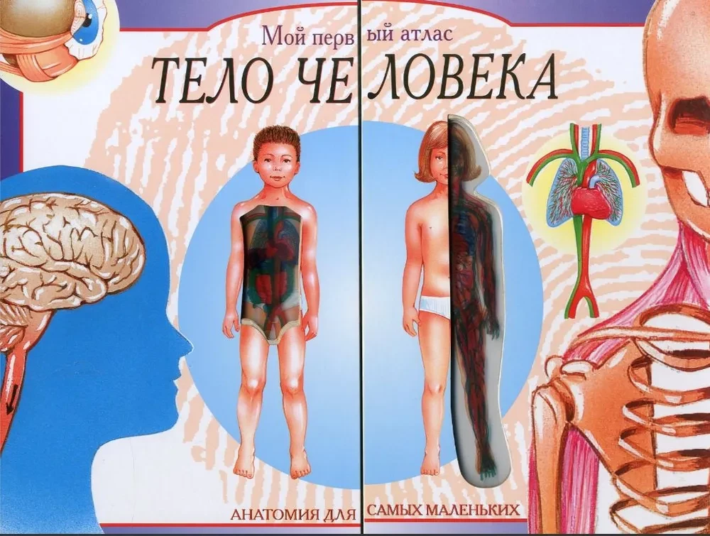 Mans pirmais atlants. Cilvēka ķermenis