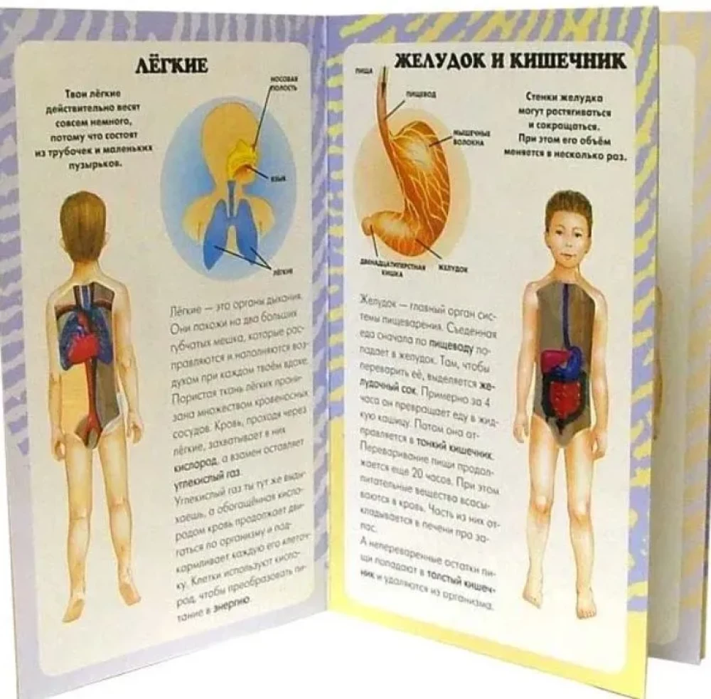 Mans pirmais atlants. Cilvēka ķermenis