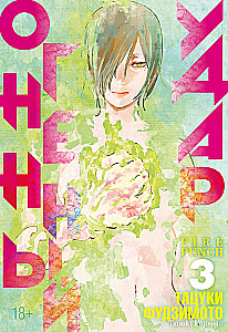 Огненный удар. Книга 3