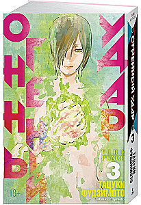 Огненный удар. Книга 3