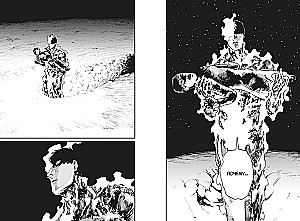 Огненный удар. Книга 3