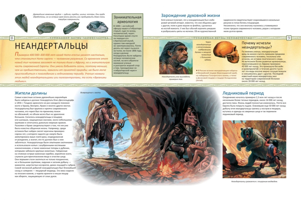 История человечества