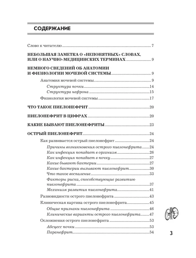 Пиелонефрит. Методы диагностики, лечение, профилактика рецидивов