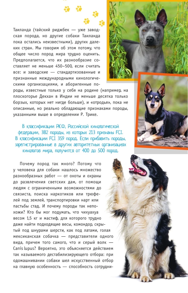 Породы собак. Определитель