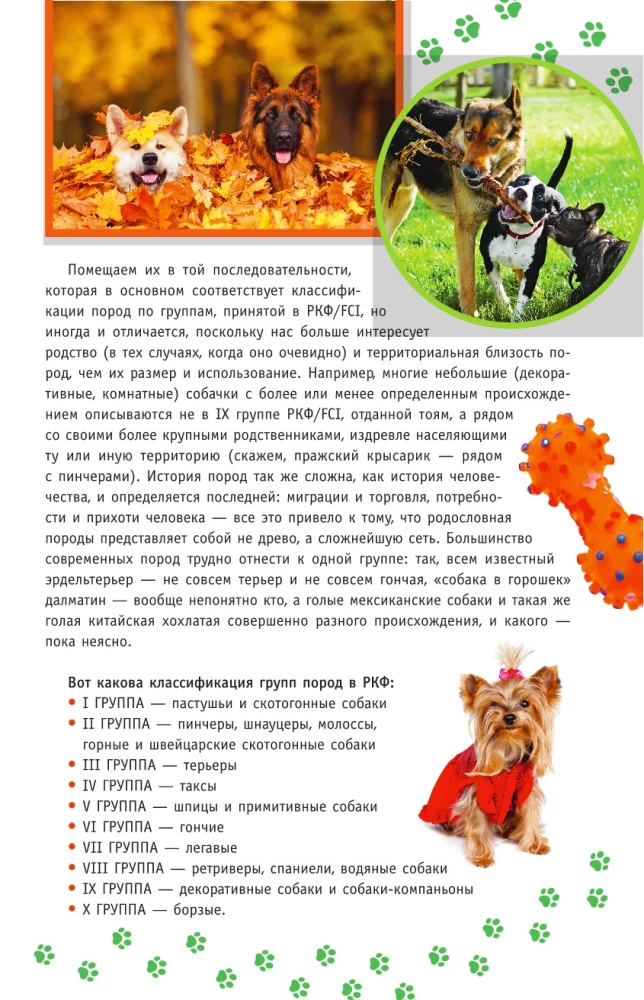 Породы собак. Определитель